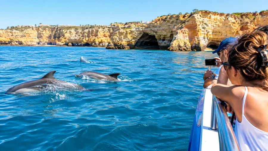 Albufeira Delfinbeobachtung und Höhlenbootstouren