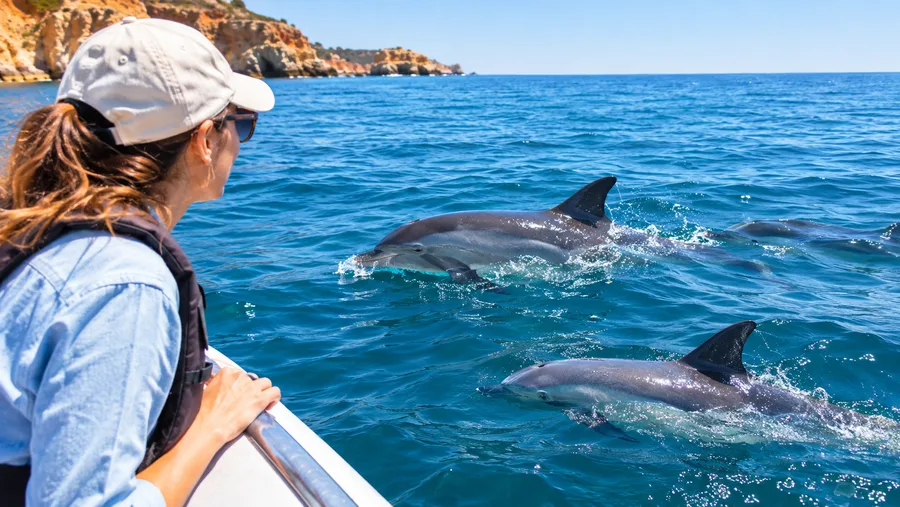 Beste Zeit für Delfinbeobachtungen in der Algarve